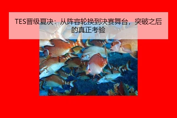 jin-ji-xia-jue-cong-zhen-rong-lun-huan-dao-jue-sai-wu-tai-tu-po-zhi-hou-de-zhen-zheng-kao-yan-2-387.jpg
